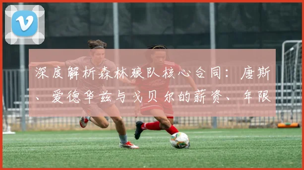深度解析森林狼队核心合同:唐斯、爱德华兹与戈贝尔的薪资、年限与未来影响