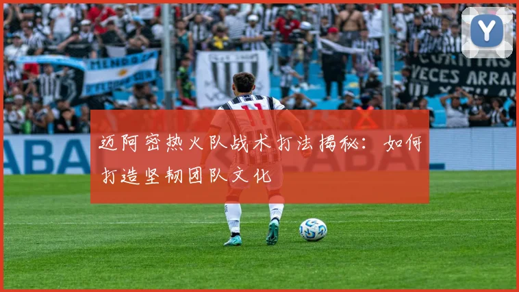 迈阿密热火队战术打法揭秘:如何打造坚韧团队文化