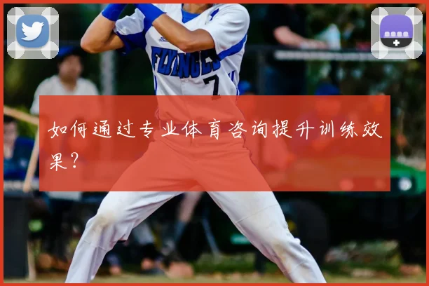 如何通过专业体育咨询提升训练效果？