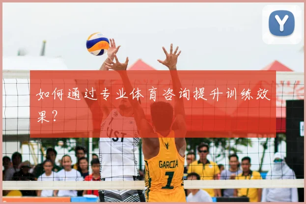 如何通过专业体育咨询提升训练效果？